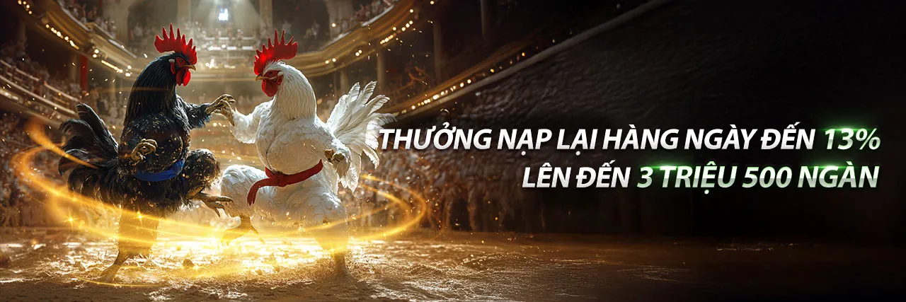 i5bet App uy tín và an toàn