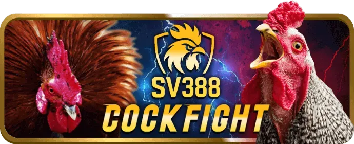 Lợi ích thành viên VIP i5bet app