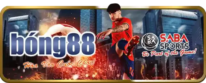 Đối tác nội dung i5bet app